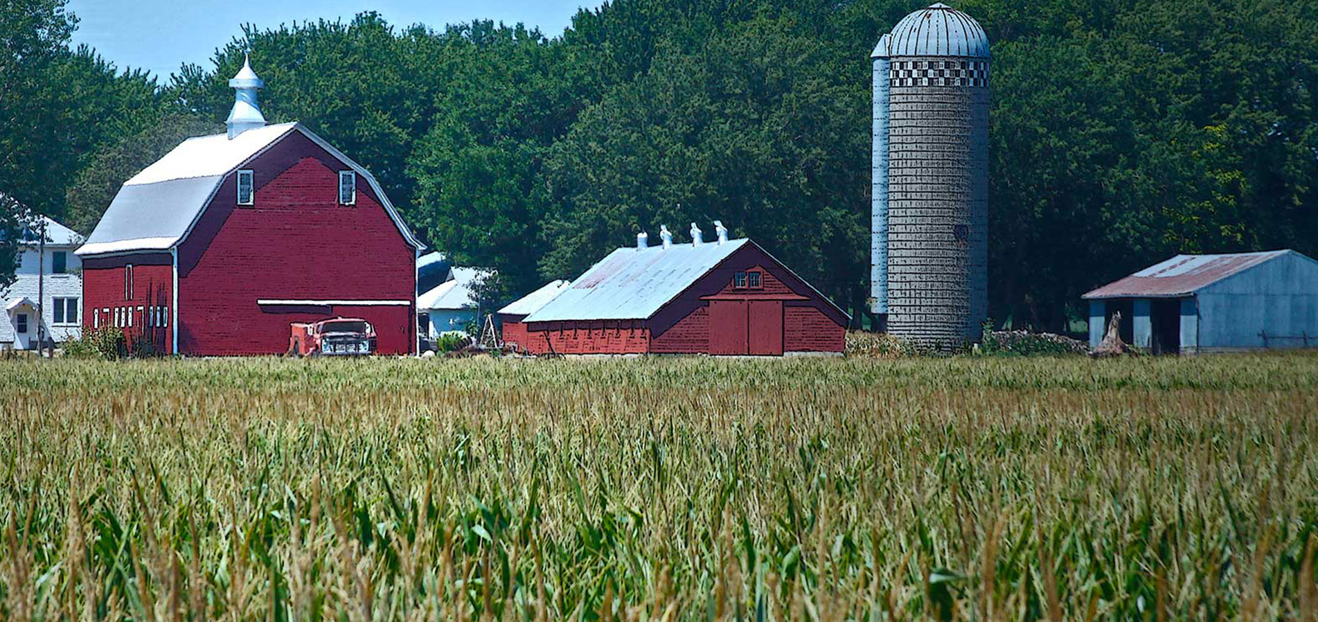 Illinois Farm & Crop Insurance Coverage